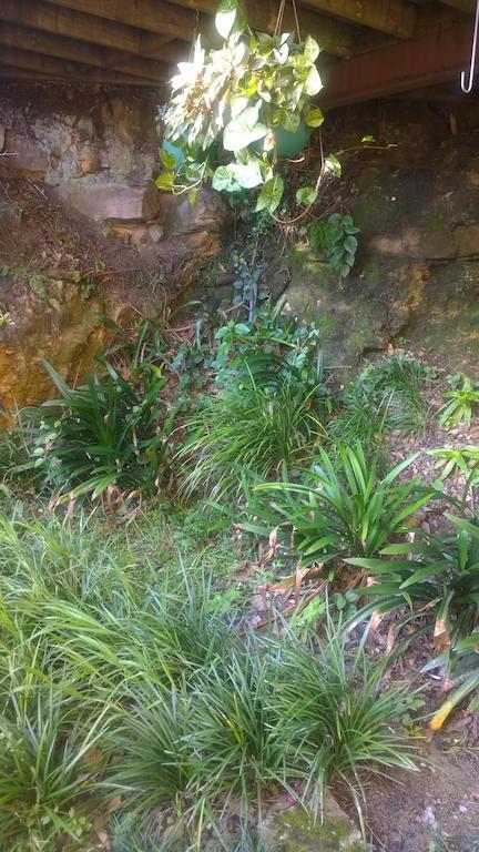 Linley House Bed and Breakfast Sydney Buitenkant foto