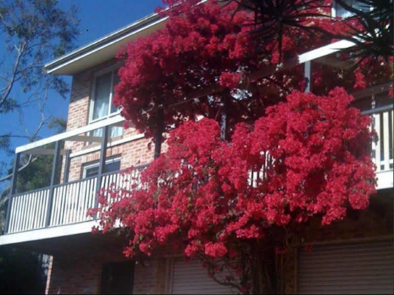Linley House Bed and Breakfast Sydney Buitenkant foto