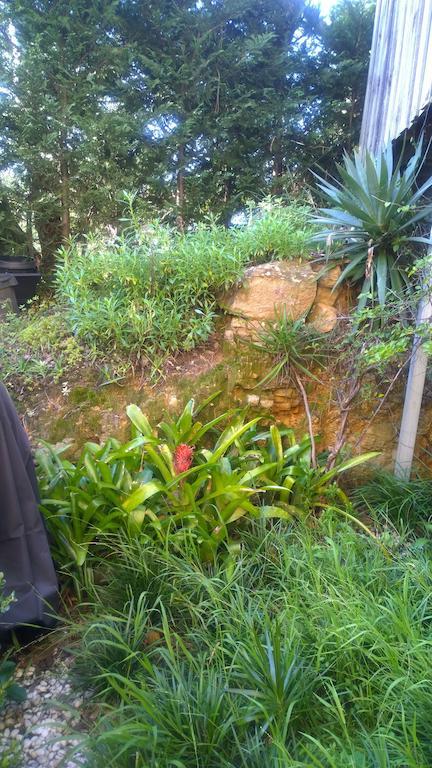 Linley House Bed and Breakfast Sydney Buitenkant foto